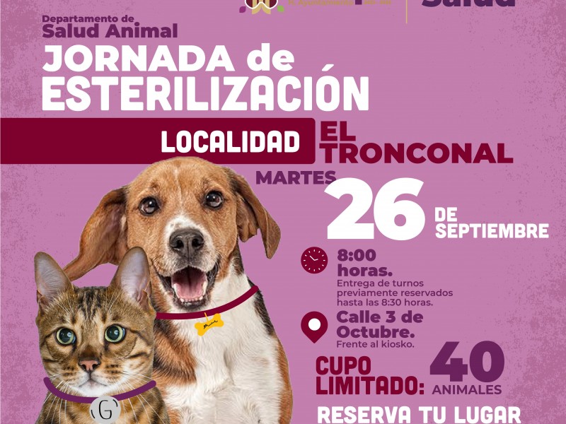 Invitan a nueva jornada de esterilización canina y felina