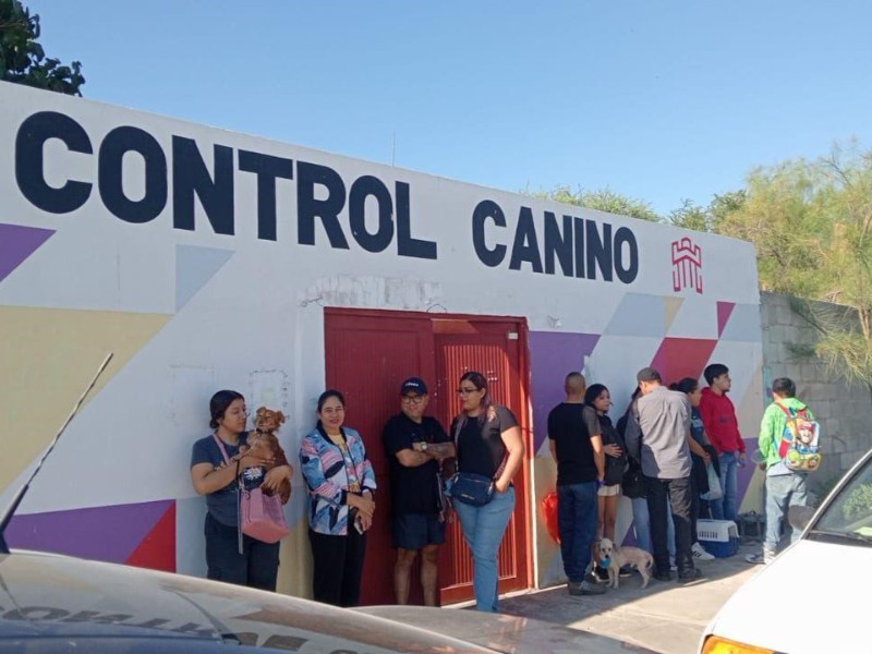 Invitan a participar en la Jornada de Esterilización a Bajo Costo