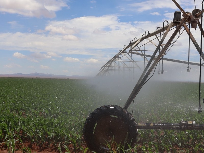 Invitan a productores a renovar su registro para manter tarifas de luz