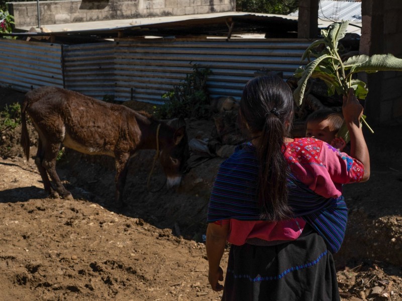 Invivivienda espera reducción de la pobreza extrema en Veracruz