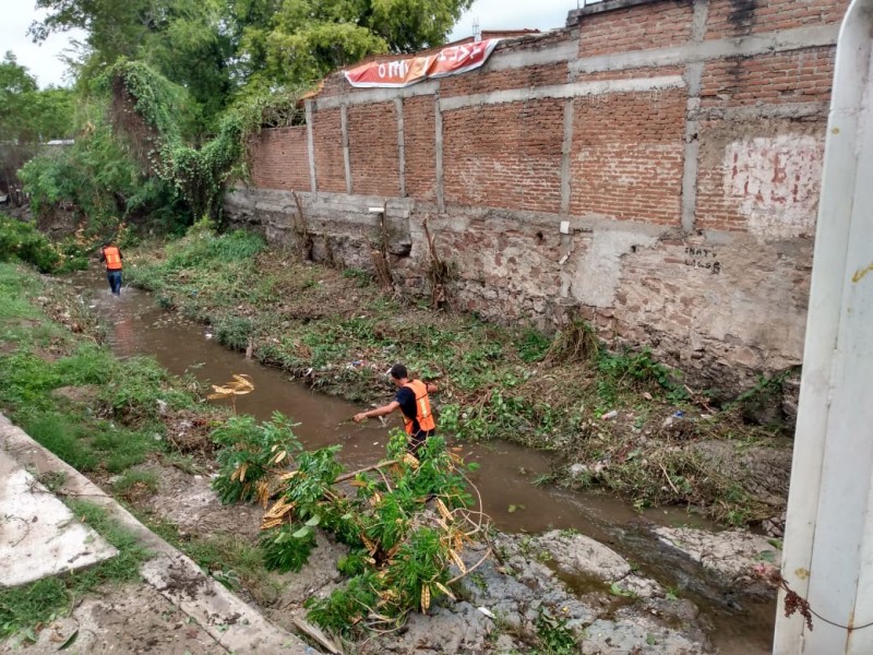 Irresponsabilidad del Ayuntamiento: no han concluido mantenimiento de arroyos
