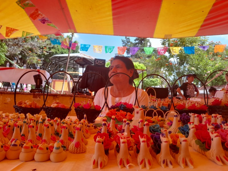 Ixtapan de la Sal realiza feria del dulce de pipián