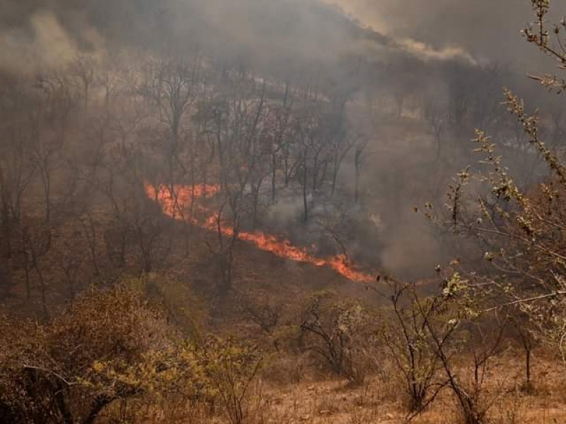 Ixtlán del Río pide ayuda para sofocar incendio