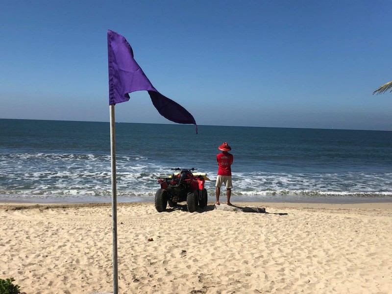 Izan bandera morada en BADEBA por cocodrilo