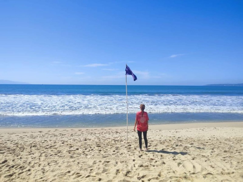 Izan bandera morada en Nuevo Nayarit por fauna nociva