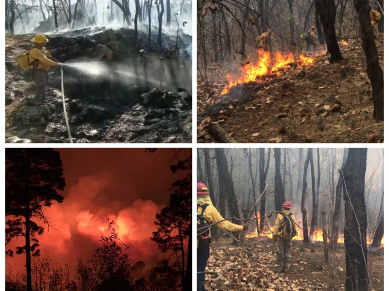 Jalisco acumula 653 incendios forestales, 46 nuevos la última semana