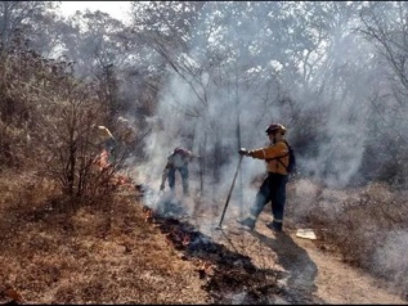 Jalisco primer lugar en hectáreas afectadas por incendios forestales