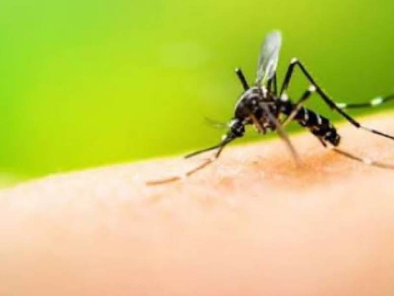 Jalisco sexto lugar por casos probables de dengue