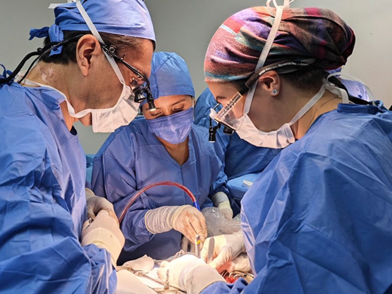 Jalisco registra 925 trasplantes de órganos hasta octubre del 2025