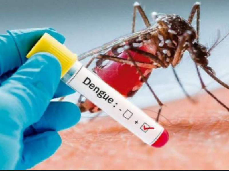 Jalisco reporta máximo en casos de Dengue por semana
