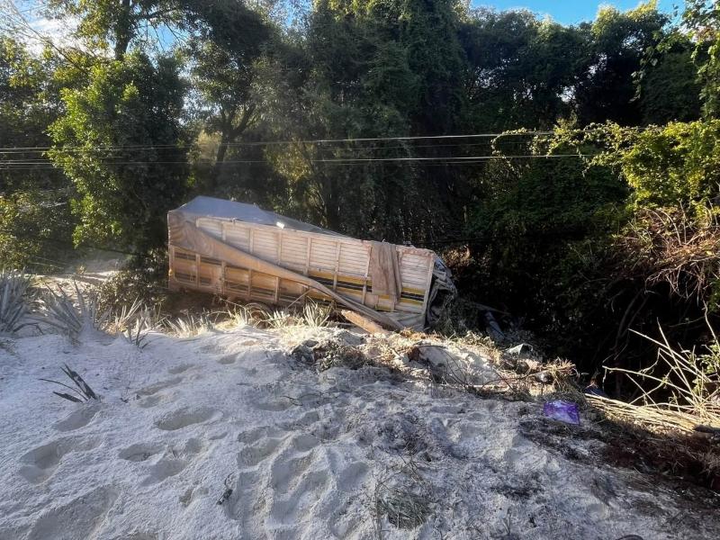 Jalisco, uno de los estados donde los accidentes carreteros cuestan más caro