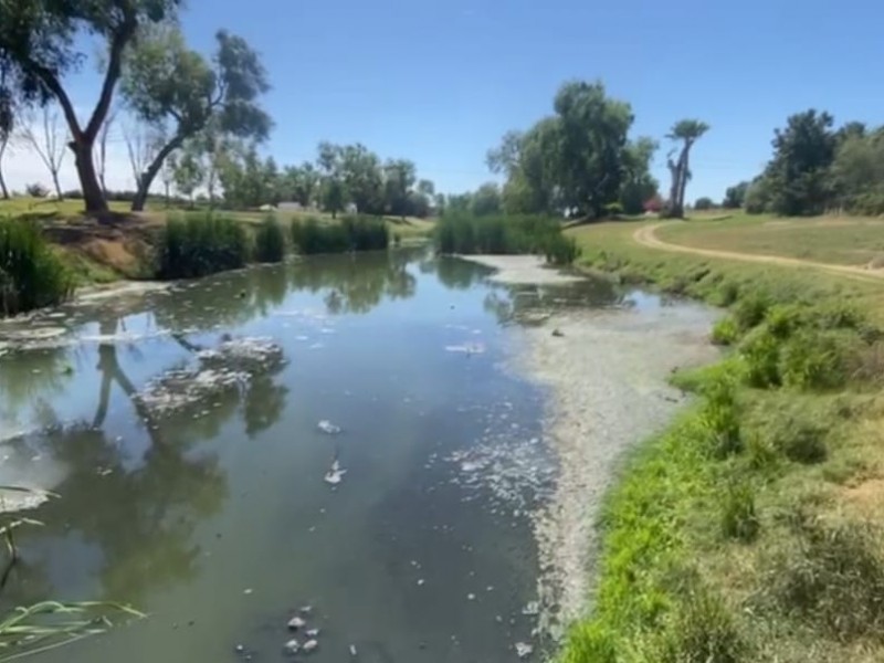 Japasa vierte aguas negras sin tratamiento al río Évora