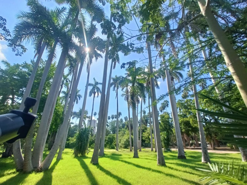 Jardín Botánico reabre sus puertas tras inundaciones