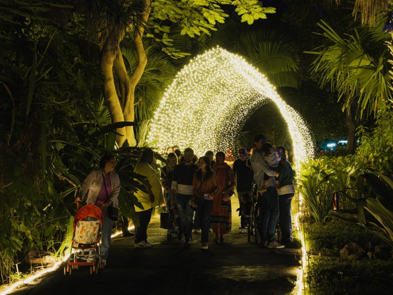 Jardín Botánico se ilumina con la magia de la navidad