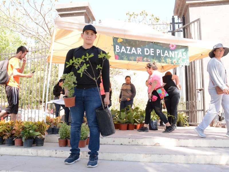 Jardín Botánico te invita a adoptar un árbol nativo