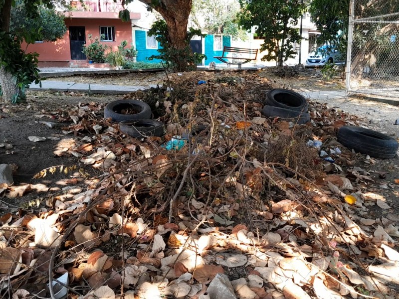 Jardín de colonia Revolución es un basurero