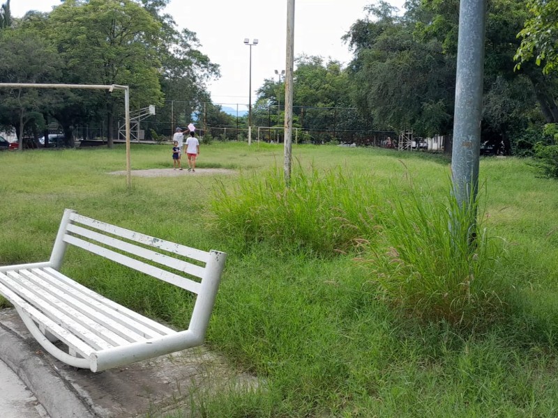 Jardín de Loma Bonita en completo descuido por el Ayuntamiento villalvarense