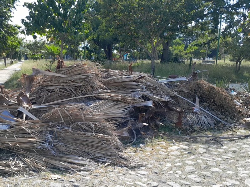 Jardín de Valle Real no es prioridad para el Ayuntamiento de Colima