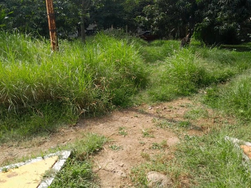 Jardín se convierte en potrero por abandono del Ayuntamiento de la Villa