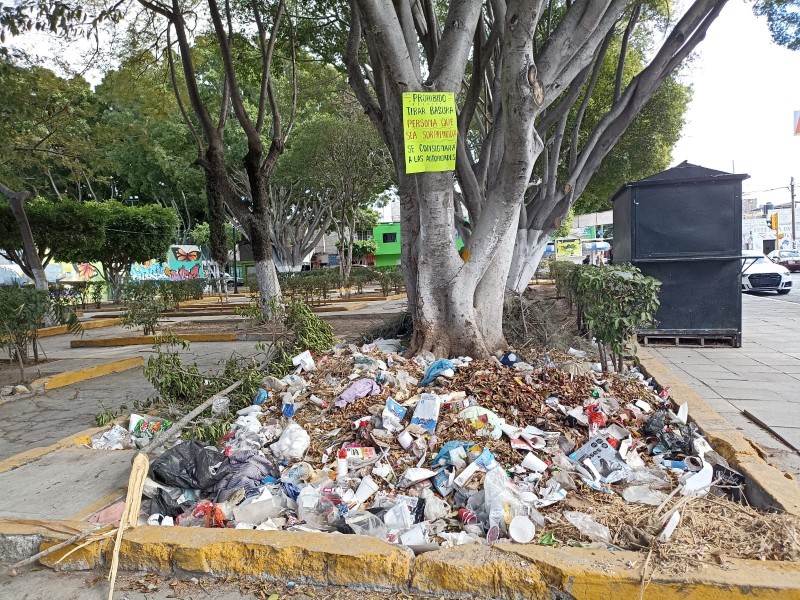 Jardinera del parque colonia Serdán sigue utilizándose para basura