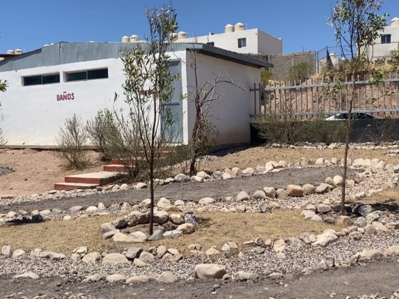 Jardines de lluvia: una solución natural para ciudades sedientas y sobrecargadas