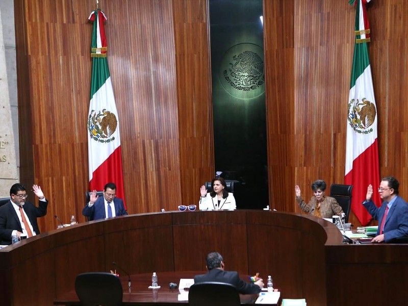 Jazmín Gómez Lizárraga será diputada: IEE