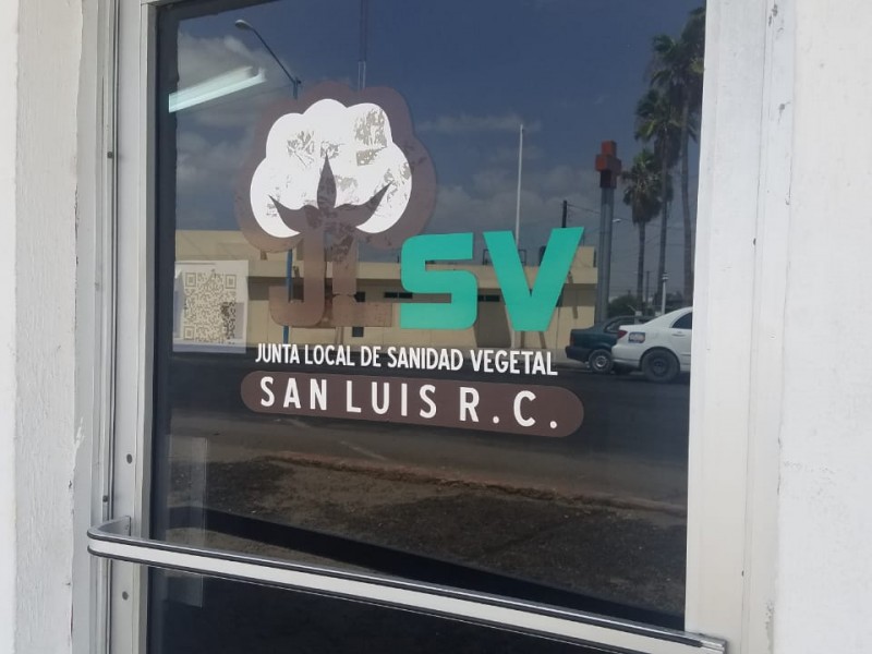 JLSV continua con reduccion de ingresos