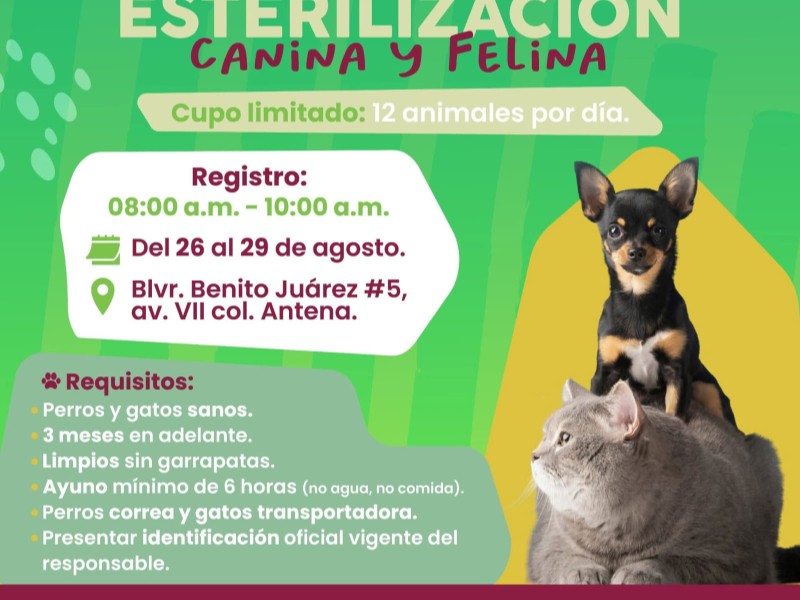 Jornada de Esterilización Canina y Felina en Guaymas
