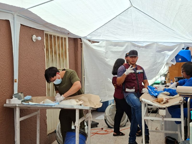 Jornada de esterilización en la colonia Lomas de Fátima