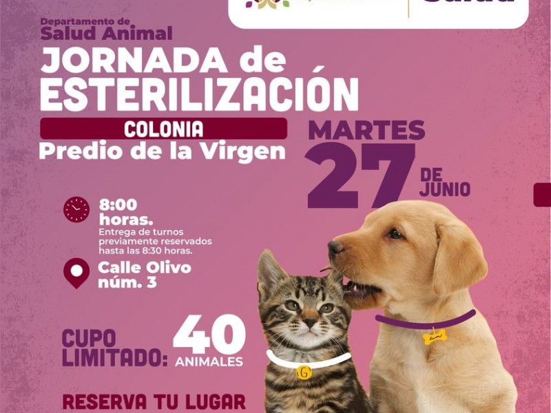 Jornada de esterilización en Xalapa