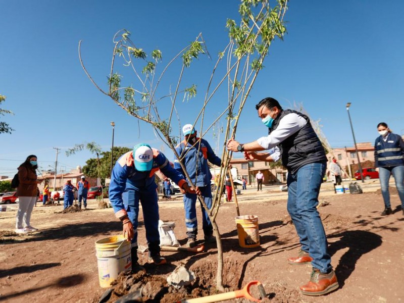 Jornada de reforestación en el parque Choles de Cerrito Colorado