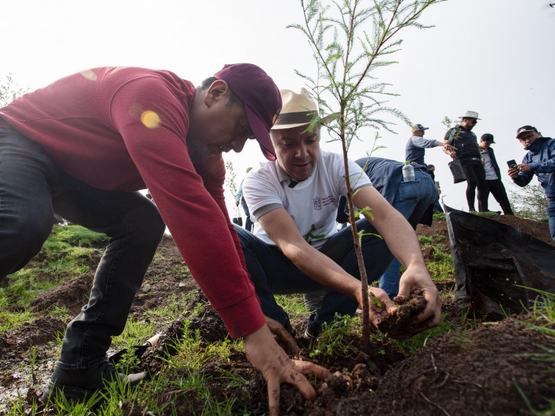 Jornada de reforestación en Morelia