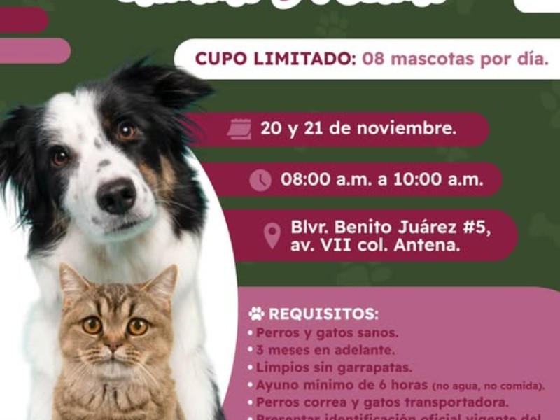 Jornada gratuita de esterilización canina y felina en Guaymas