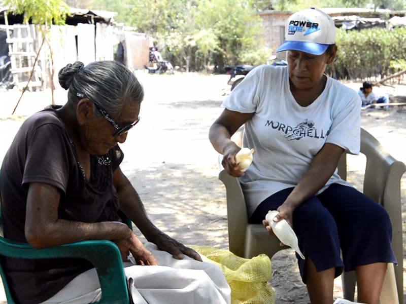 Jornaleros del Mayo en crisis, hay desempleo y pobreza