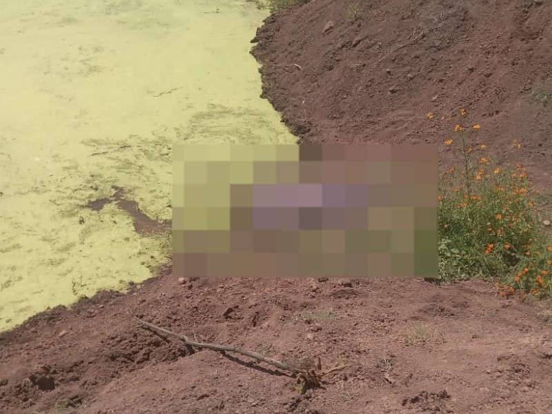 Joven muere ahogado tras caer de su caballo en Tepetongo, Zacatecas