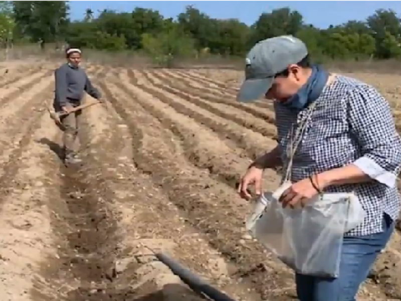 Jóvenes aprenden de agricultura en Las Islas Marías