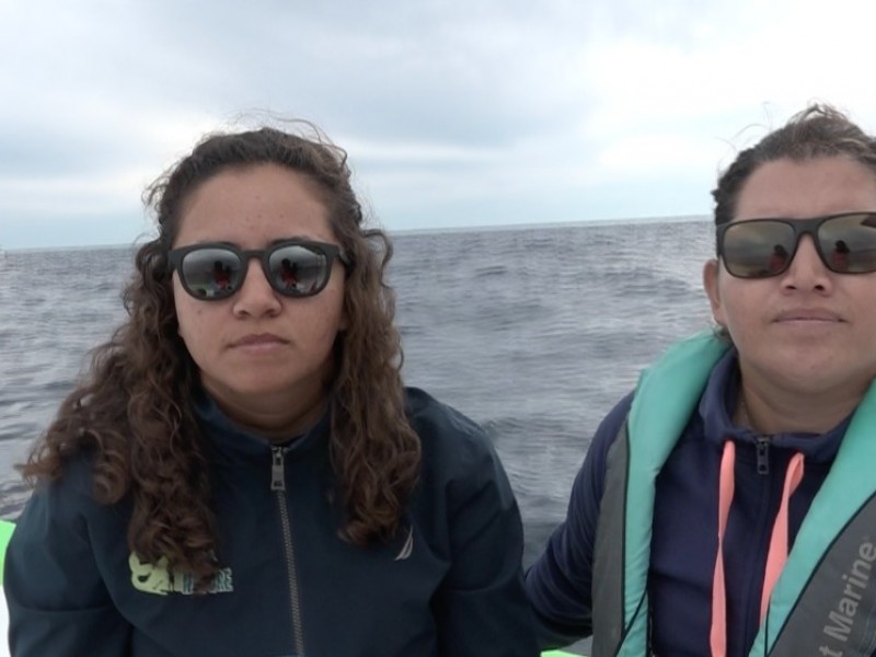 Jóvenes encontraron su área de oportunidad en avistamiento de ballenas