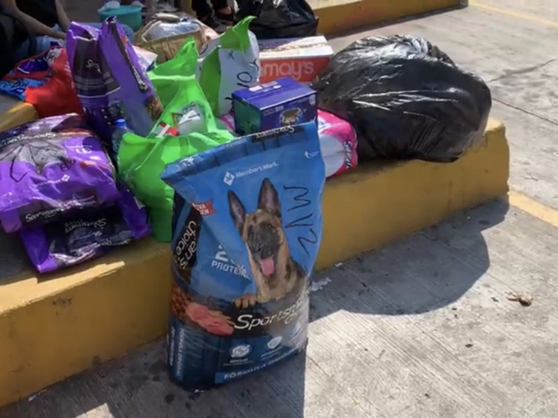 Jóvenes instalaron centros de acopio para mascotas damnificadas de Acapulco