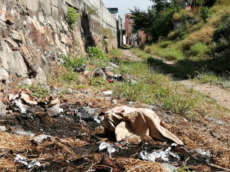 Jóvenes voluntarios limpiarán Tehuantepec, buscan rescatar espacios públicos