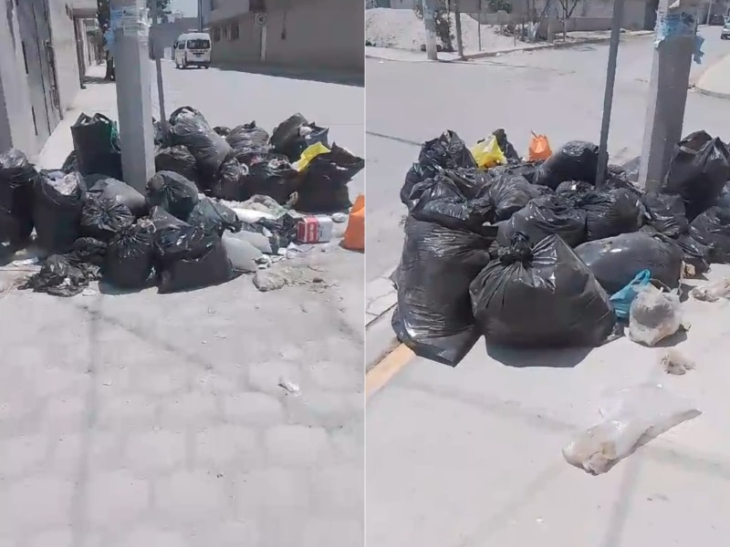 Juan Pablo II: 15 días sin recolección, basura en calles