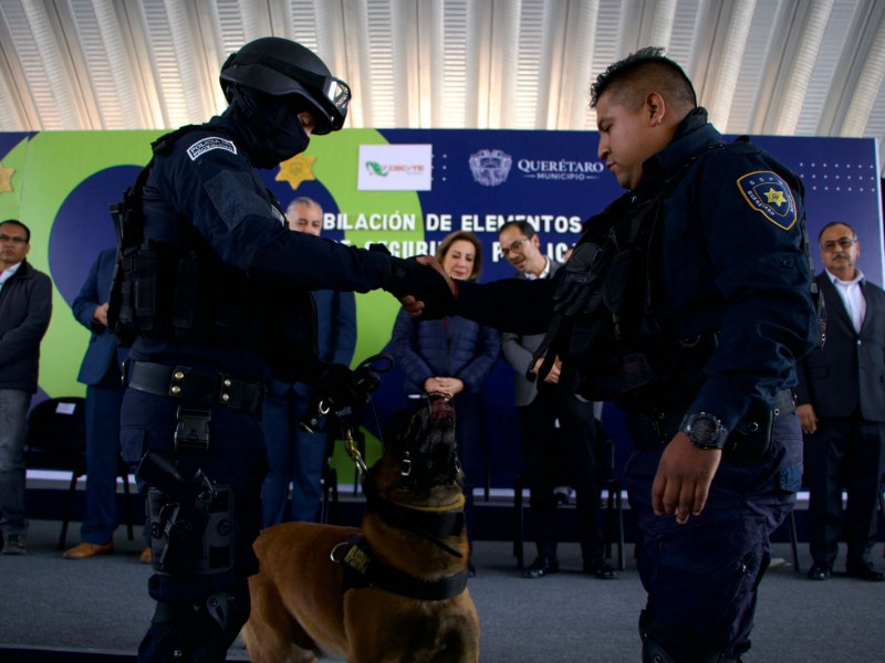 Jubilan a 5 binomios caninos de la policía capitalina