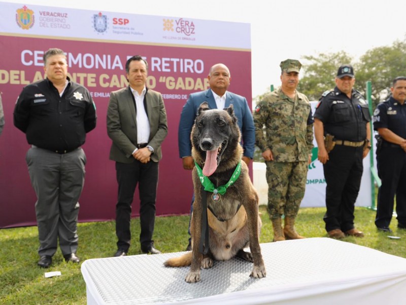 Jubilan al mejor agente canino de Veracruz