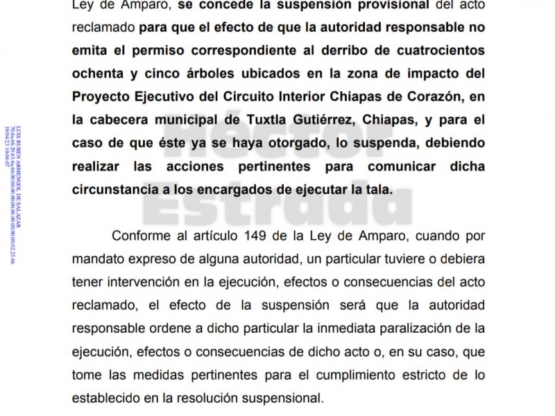 Juez federal otorga amparo contra tala de árboles