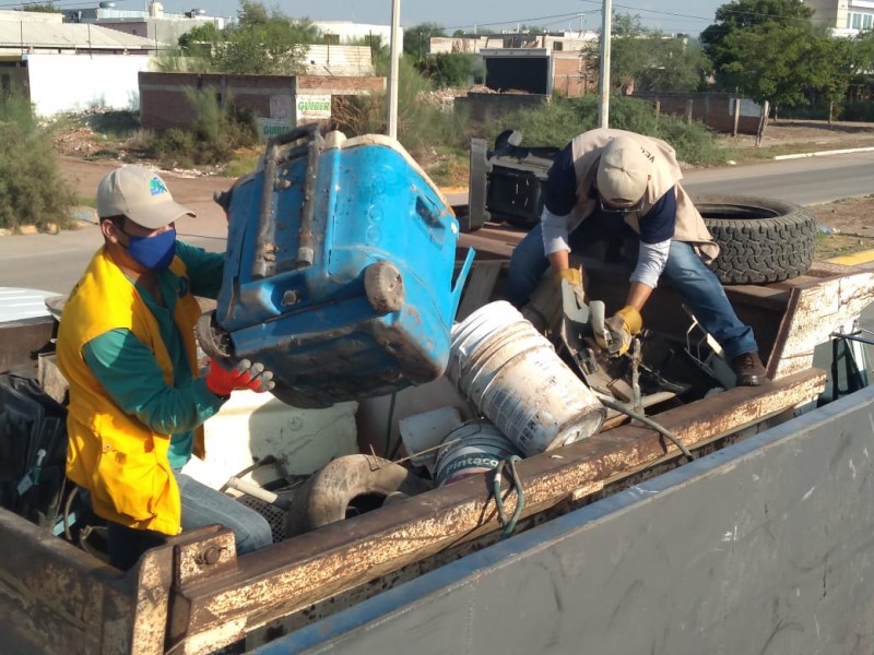 Jurisdicción sanitaria mantiene lucha contra el dengue