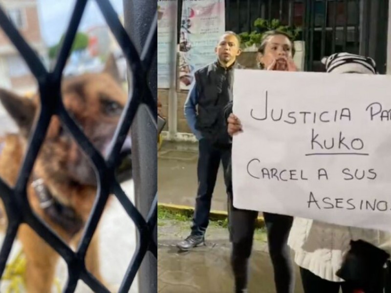Justicia para “Kuko”, perro asesinado a golpes en EDOMEX