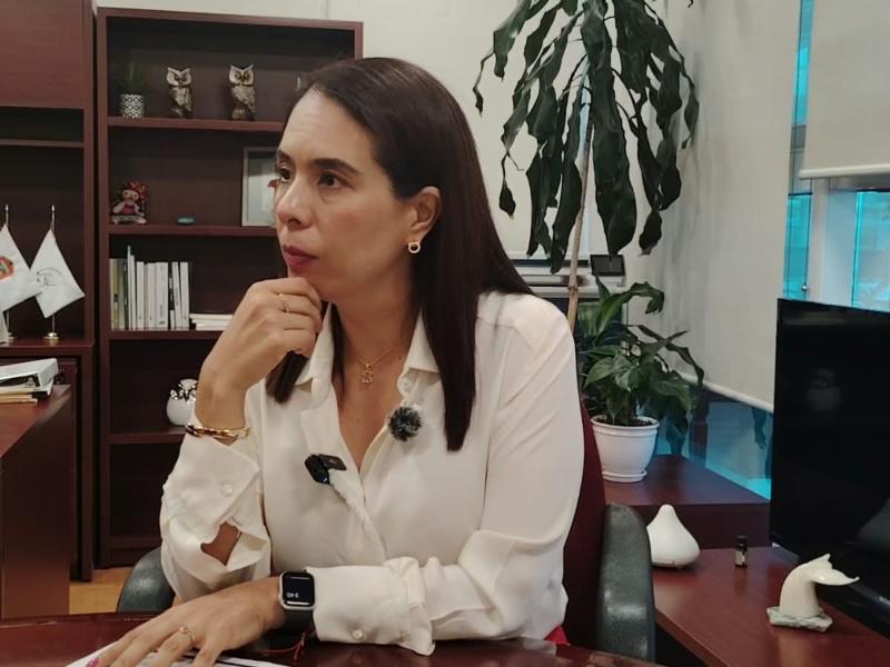 Karina Vaquera crítica límites al monitoreo electoral en redes sociales