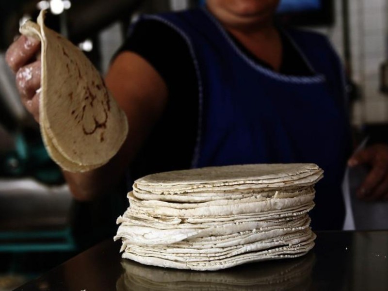 Kilo de tortilla no tendrá incrementos durante mes de enero