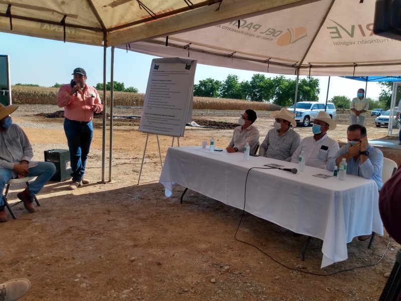 La AARSP inaugura canteros para producción de fertilizante orgánico