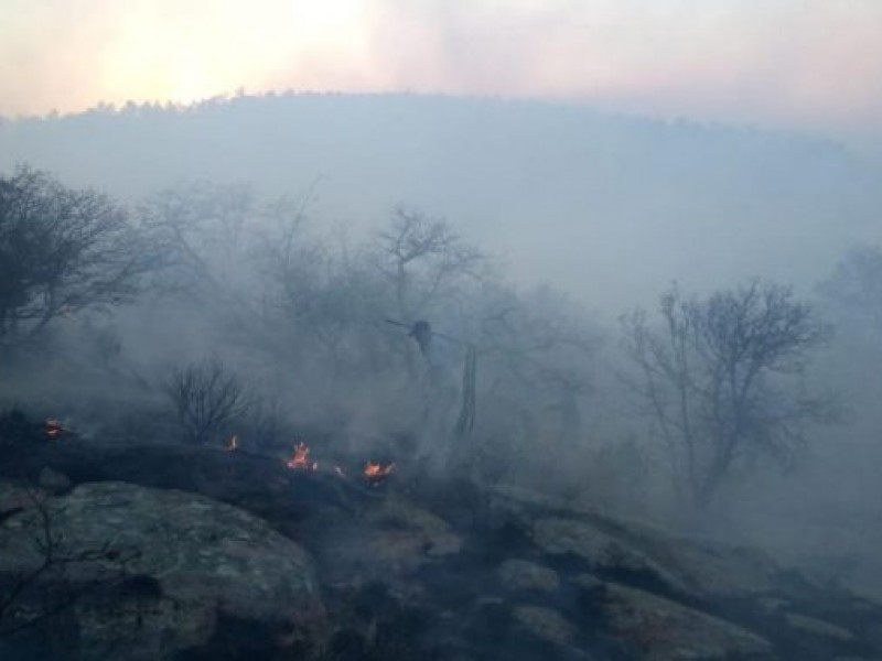 La actual afectación de incendios forestales rebasa la de 2020