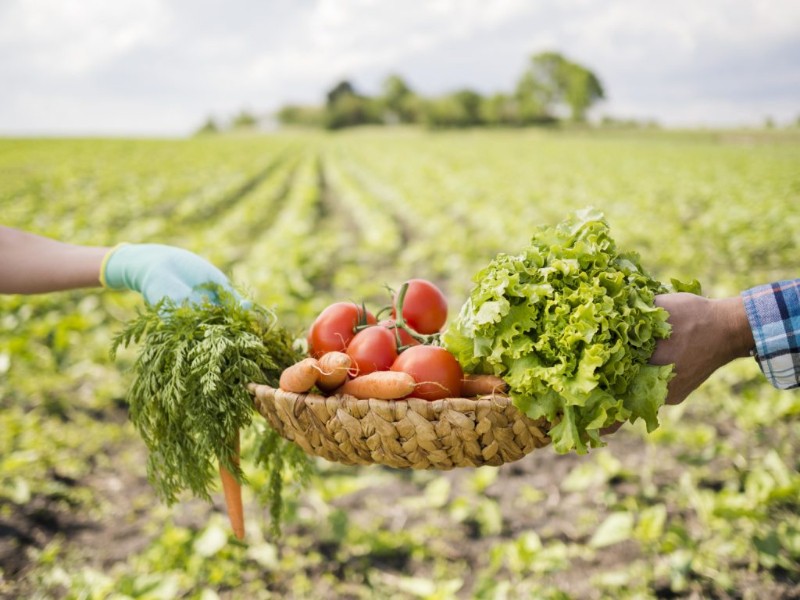 La agricultura, bajo presión